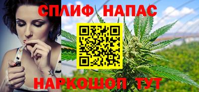 стаф Балахна
