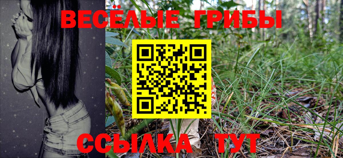 Джанкой  Галлюциногенные грибы MAGIC MUSHROOMS  где найти   Вход с VPN 